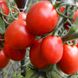 Семена томатов Рио Фуэго 0,1 г