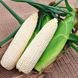 Семена кукурузы Сахарная белая 50 г