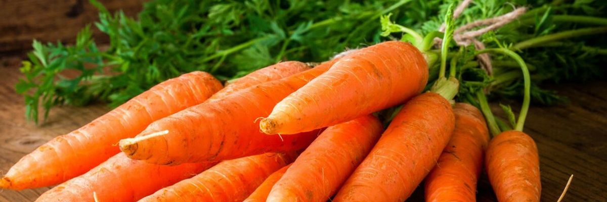 Как выращивать морковь: от посева семян до высадки рассады узнать больше