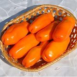 Насіння томатів Ерос 0,1 г - купить | Good Harvest