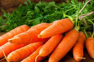 Как выращивать морковь: от посева семян до высадки рассады узнать больше