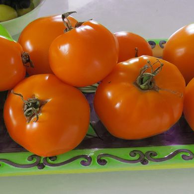 Насіння томатів Апельсин Агромаксі 2 г 11.2254 фото