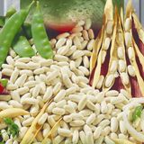 Семена фасоли на зерно Эурека кустовая Яскрава 20 г - купить | Good Harvest
