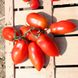 Насіння томатів Ні турбот ні клопоту безрозсадний Агромаксі 0,4 г