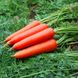 Насіння моркви Без серцевини Яскрава 2 г