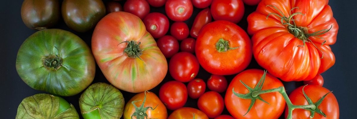 Как выращивать помидоры: от посева семян до высадки рассады узнать больше