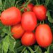 Насіння томатів Ріо Гранде Clause 0,5 г