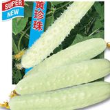 Насіння огірків Білий делікатес Пекіна Сонячний Март 10 шт - купити | Good Harvest