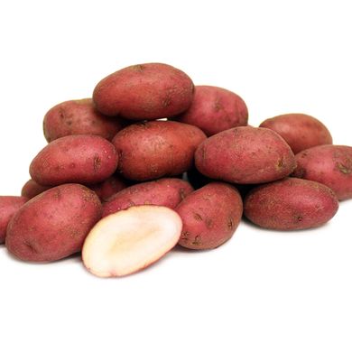 Насіння картоплі Діва 0,02 г 11.1025 фото