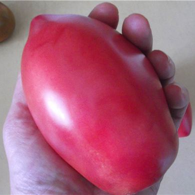 Насіння томатів Рожевий Фламінго Садиба 0,1 г 11.2063 фото