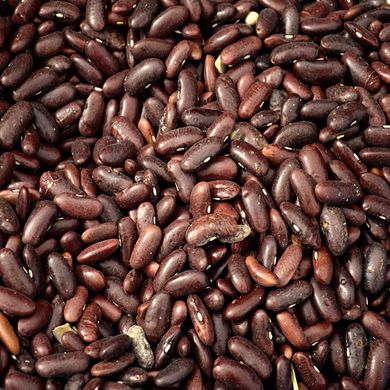 Семена фасоли на зерно Кофейное зернышко кустовая Яскрава 20 г 11.1600 фото