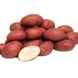 Семена картофеля Дева 0,02 г
