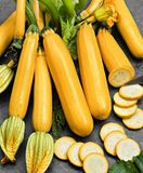 Семена кабачков Мери Голд F1 Tezier PN 5 шт - купить | Good Harvest