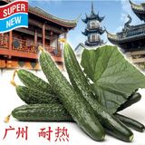 Насіння огірків Гуанчжоу Жаростійкий Сонячний Март 20 шт - купити | Good Harvest