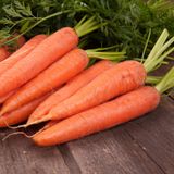Насіння моркви Червона бояриня Satimex Садиба 2 г - купити | Good Harvest