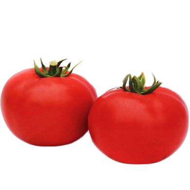 Семена томатов Даруна F1 Яскрава инкрустированное 10 шт 11.2261 фото
