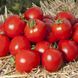 Насіння томатів Асвон F1 Kitano Seeds Леда 10 шт